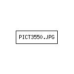PICT3550.JPG
